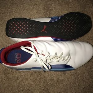 Men's Puma Evo shoes